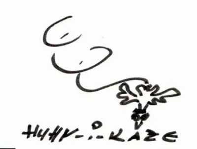 Huhn-i-kaze