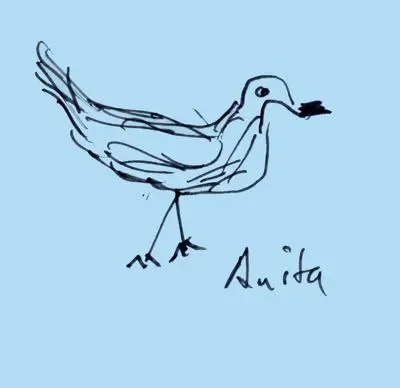 Anita